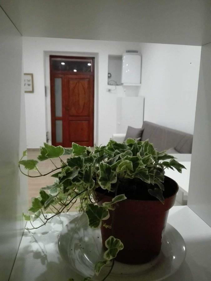 Al Centro Di Cagliari Apartamento Exterior foto
